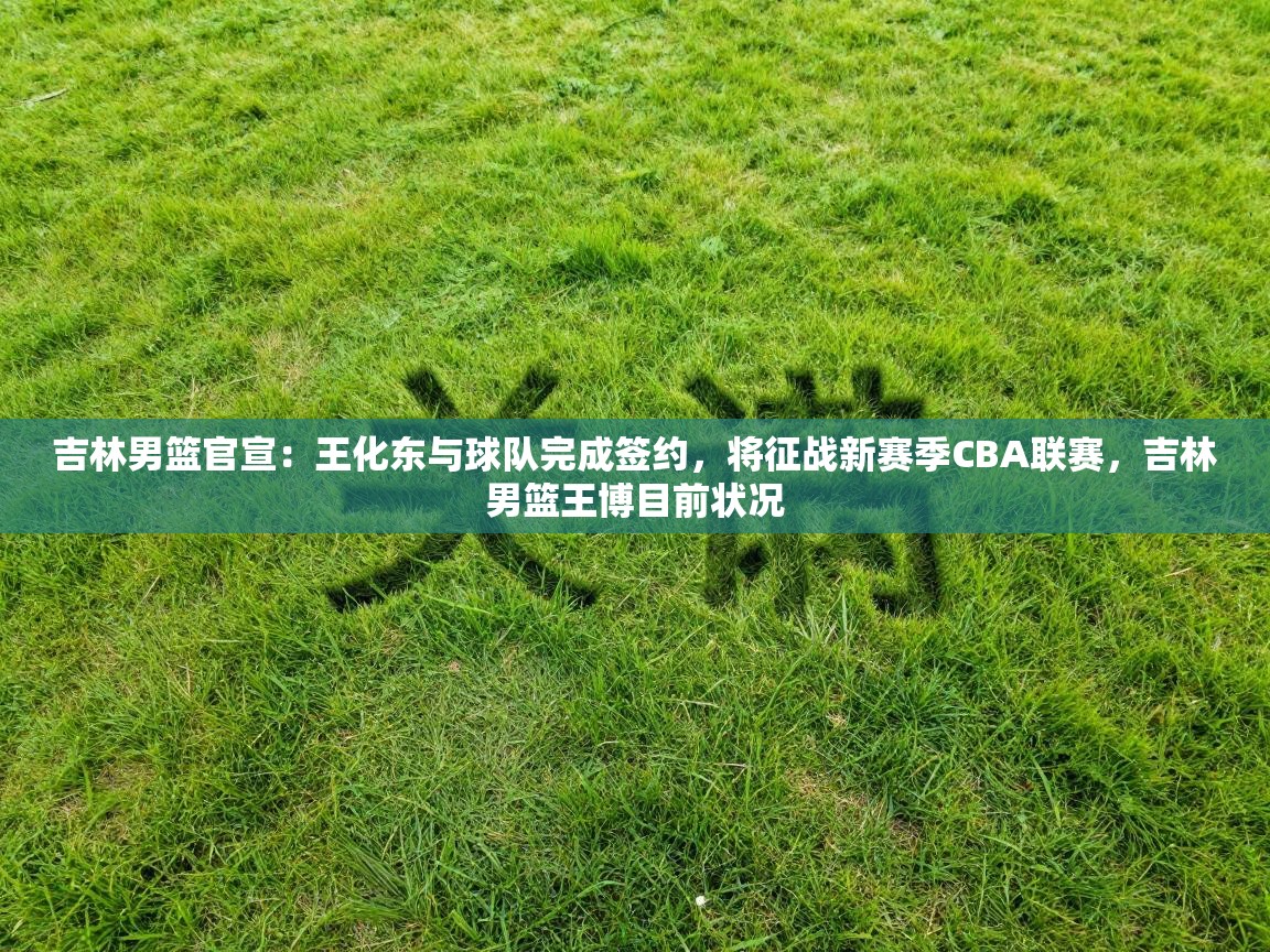 吉林男篮官宣：王化东与球队完成签约，将征战新赛季CBA联赛，吉林男篮王博目前状况  第2张