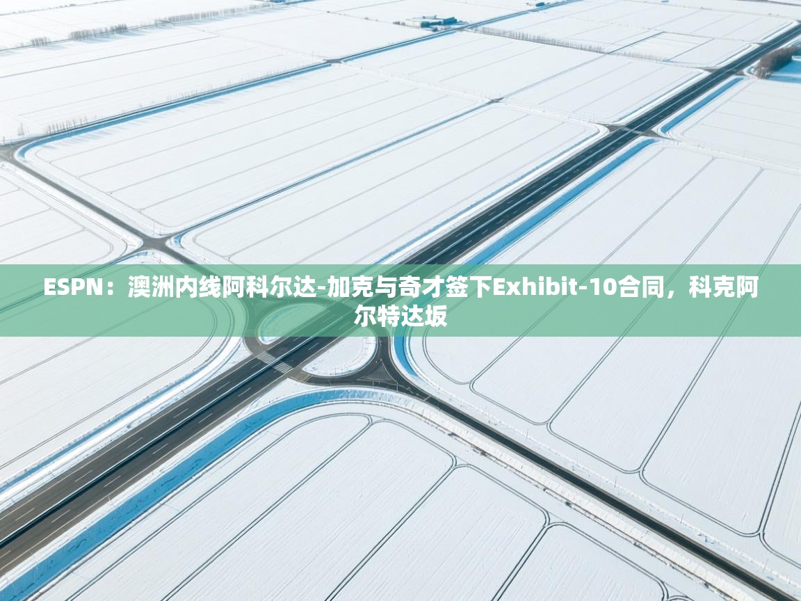 ESPN：澳洲内线阿科尔达-加克与奇才签下Exhibit-10合同，科克阿尔特达坂  第1张