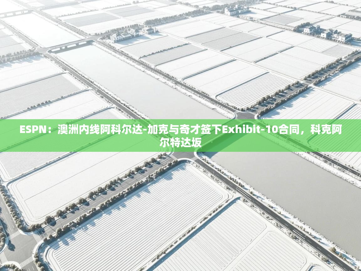 ESPN：澳洲内线阿科尔达-加克与奇才签下Exhibit-10合同，科克阿尔特达坂  第2张