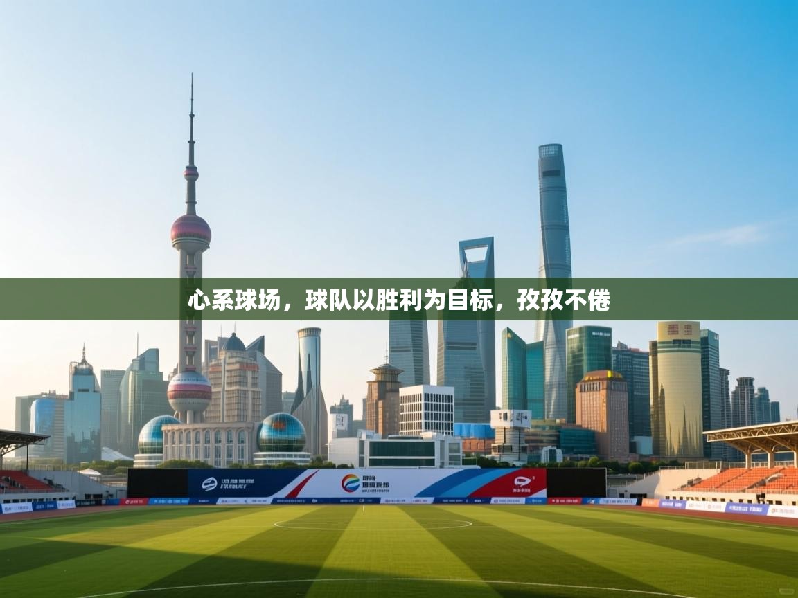 心系球场，球队以胜利为目标，孜孜不倦  第2张