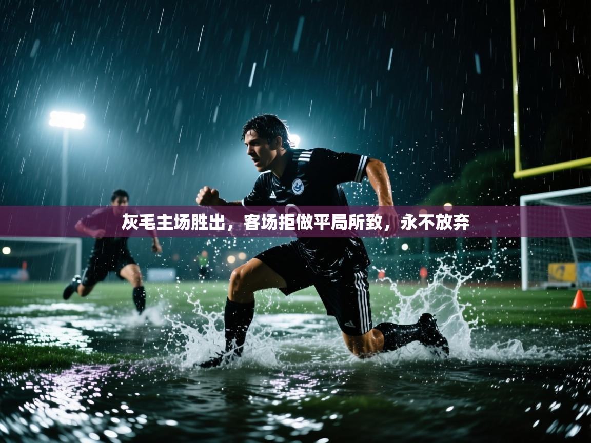灰毛主场胜出,客场拒做平局所致,永不放弃 第2张